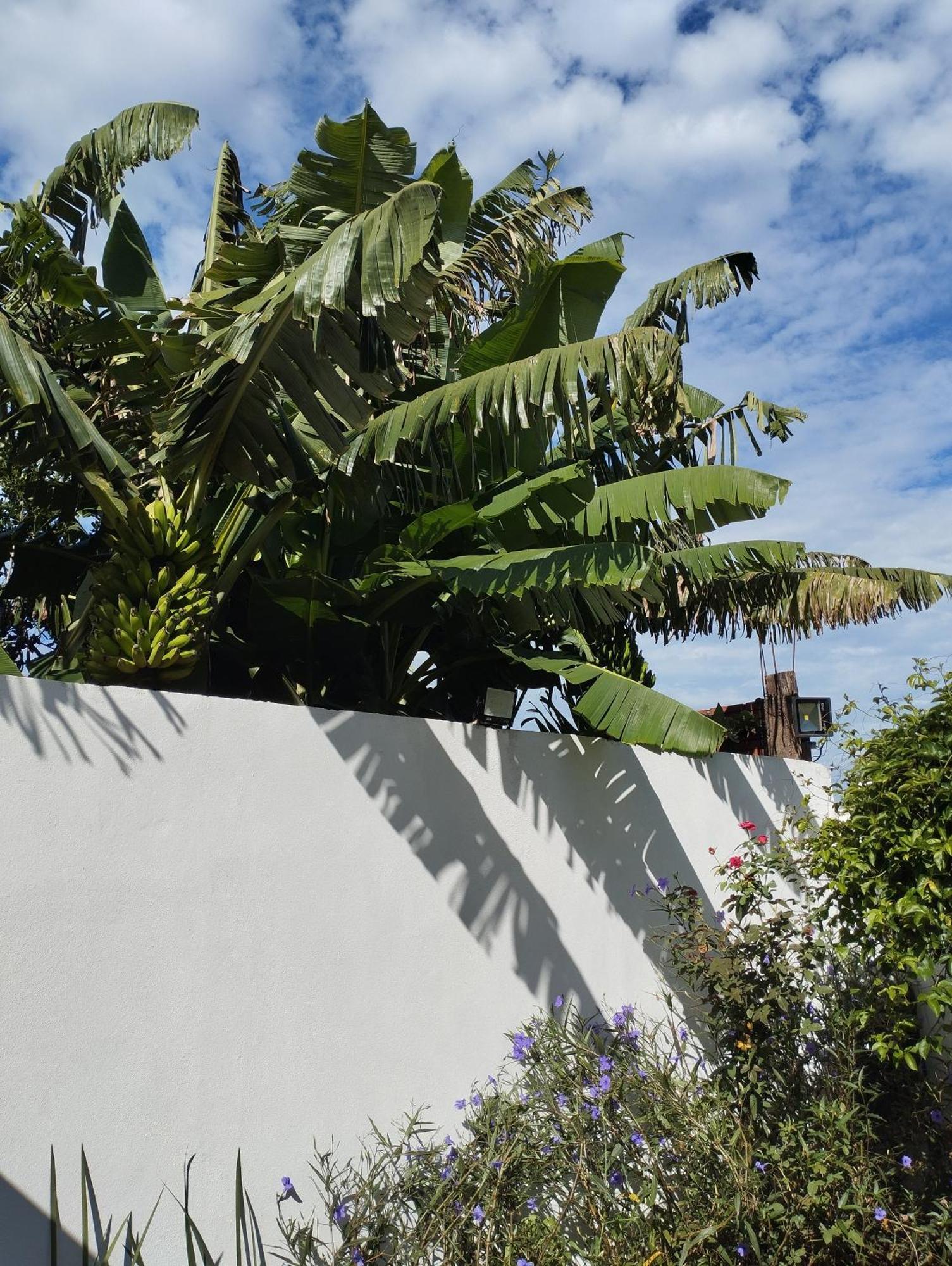 Brisas Iguazu Porto Iguaçu Exterior foto